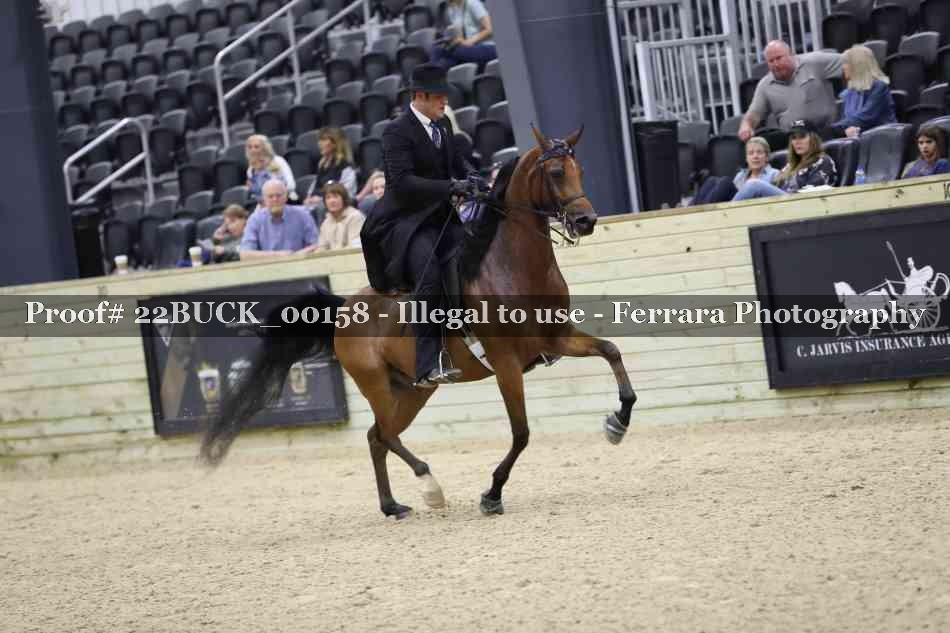 Proof 22BUCK_00158