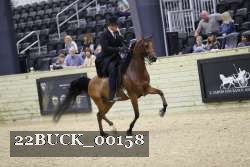 22BUCK_00158 proof