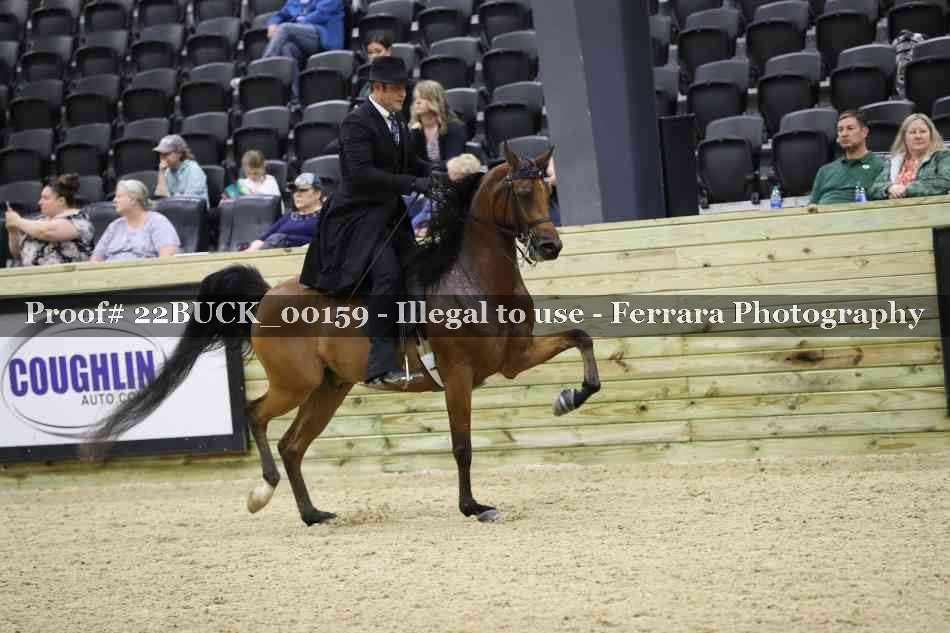Proof 22BUCK_00159
