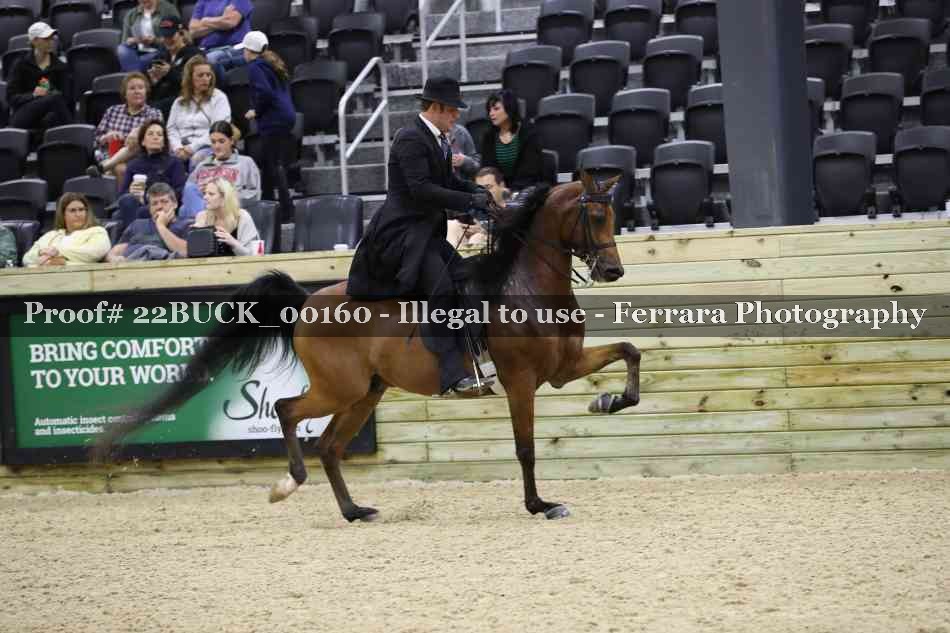 Proof 22BUCK_00160
