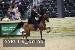 22BUCK_00160 proof
