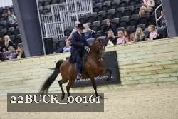 22BUCK_00161 proof