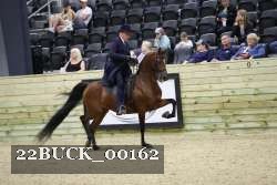 22BUCK_00162 proof