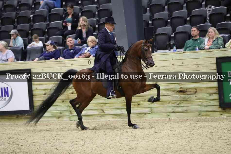 Proof 22BUCK_00163