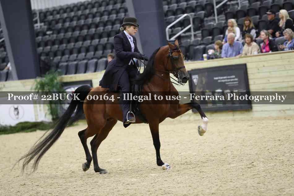 Proof 22BUCK_00164