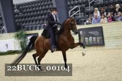 22BUCK_00164 proof