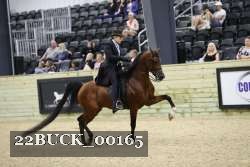 22BUCK_00165 proof