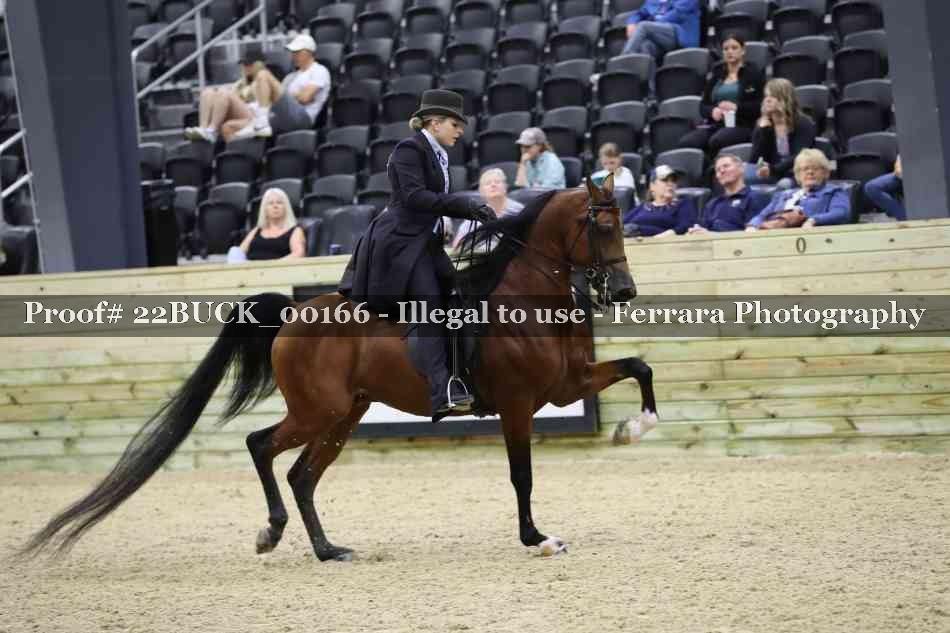 Proof 22BUCK_00166