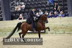 22BUCK_00166 proof