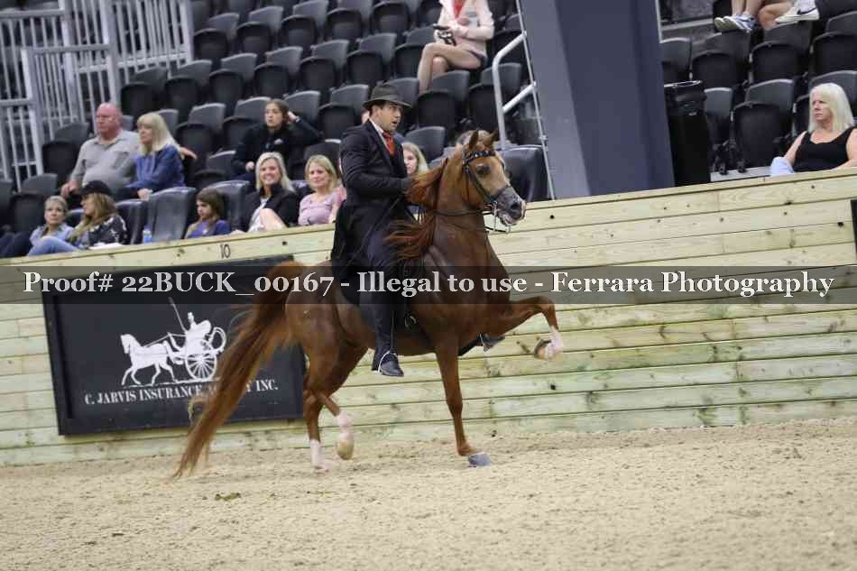 Proof 22BUCK_00167