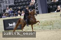 22BUCK_00167 proof