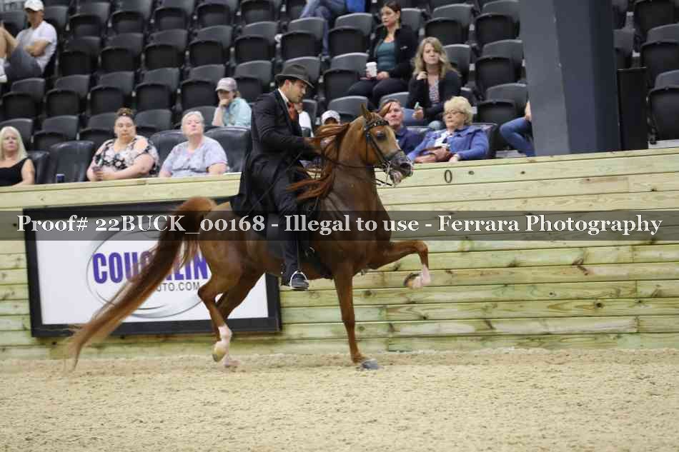 Proof 22BUCK_00168