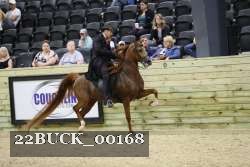 22BUCK_00168 proof