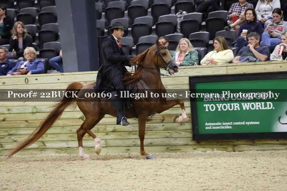 Proof 22BUCK_00169