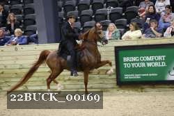 22BUCK_00169 proof