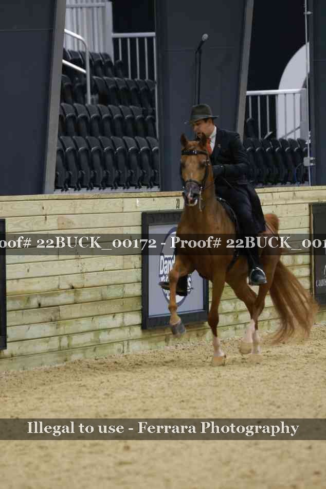 Proof 22BUCK_00172