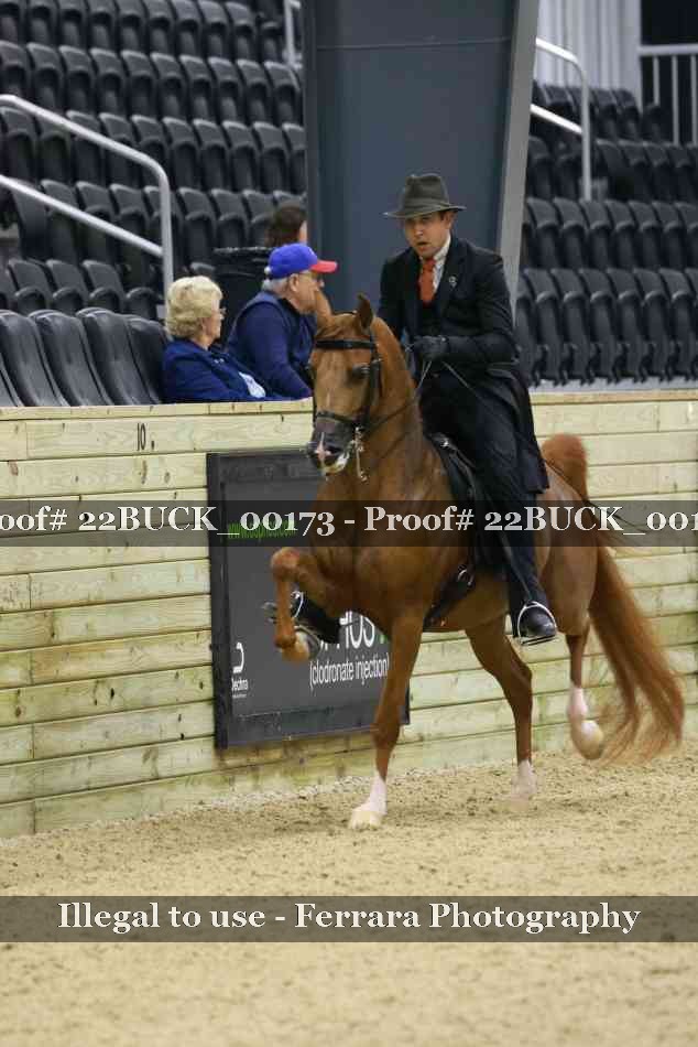 Proof 22BUCK_00173