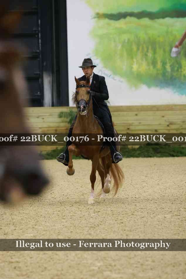 Proof 22BUCK_00176