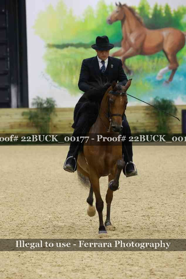 Proof 22BUCK_00177