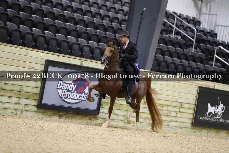 Proof 22BUCK_00178