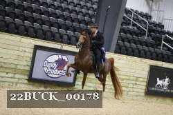 22BUCK_00178 proof