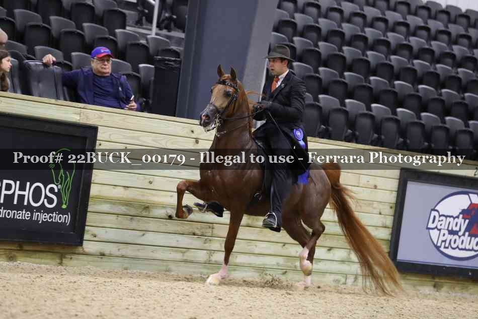 Proof 22BUCK_00179