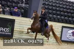 22BUCK_00179 proof