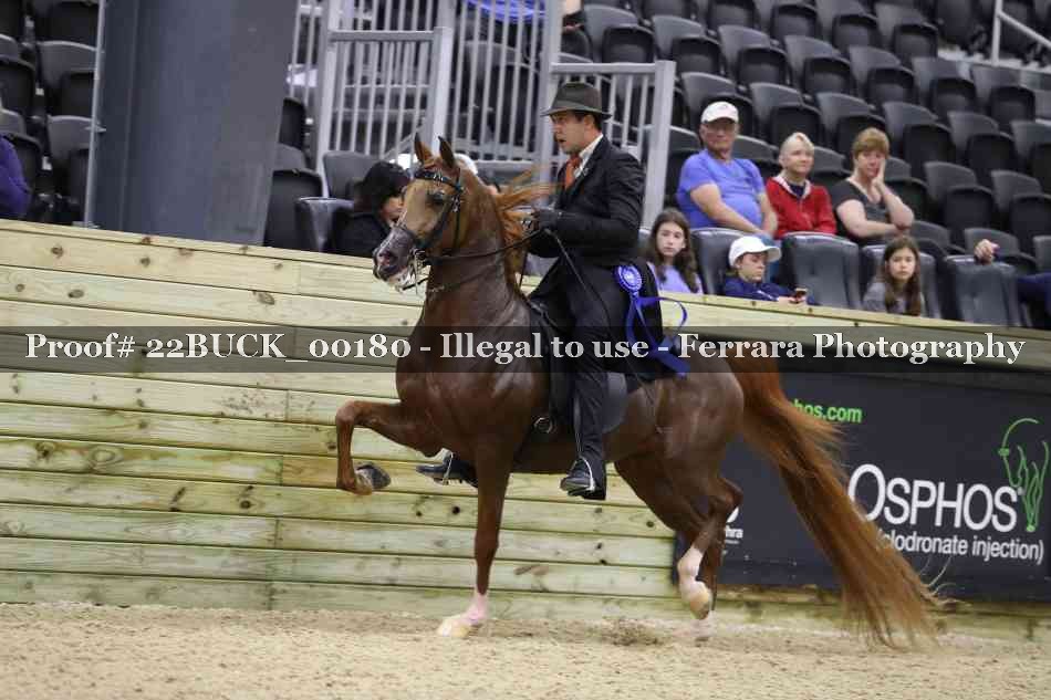 Proof 22BUCK_00180