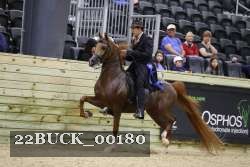22BUCK_00180 proof