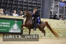 22BUCK_00181 proof