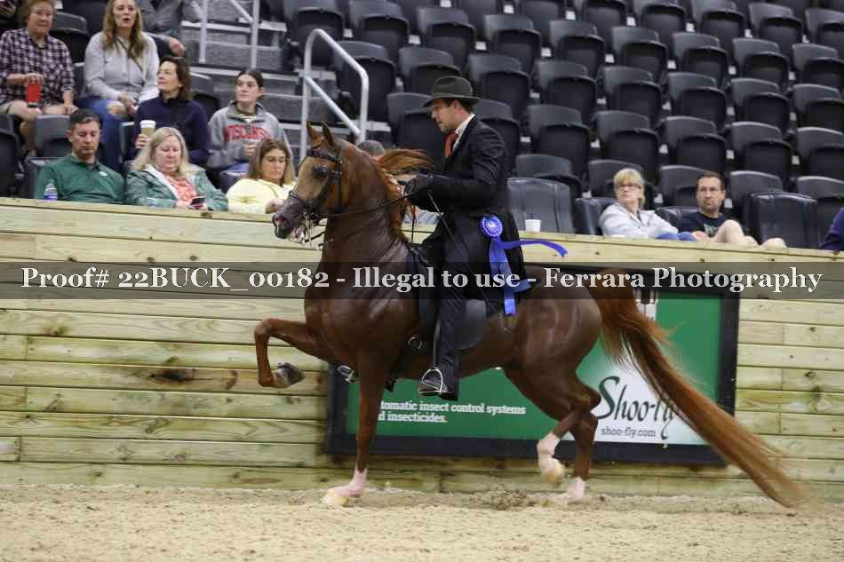 Proof 22BUCK_00182