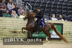 22BUCK_00182 proof