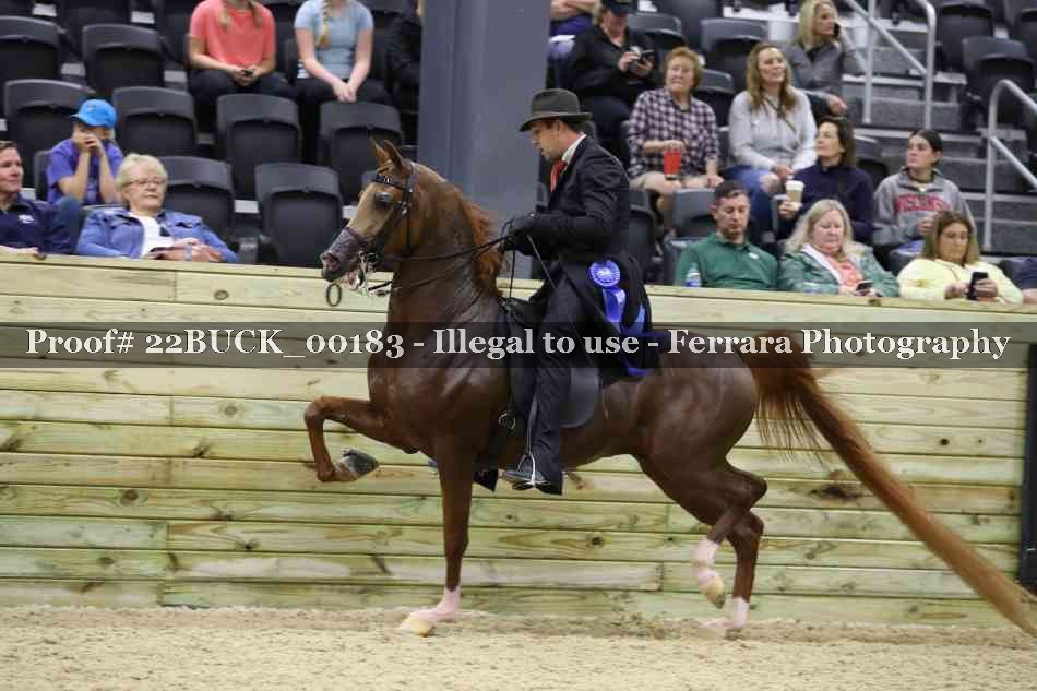Proof 22BUCK_00183