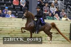 22BUCK_00183 proof