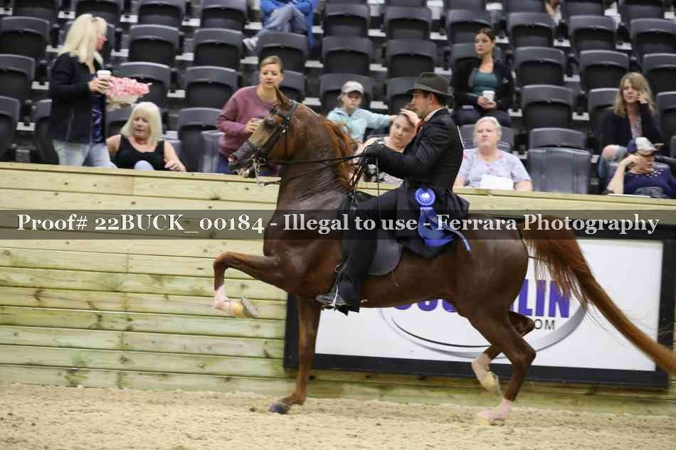 Proof 22BUCK_00184