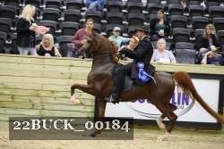 22BUCK_00184 proof