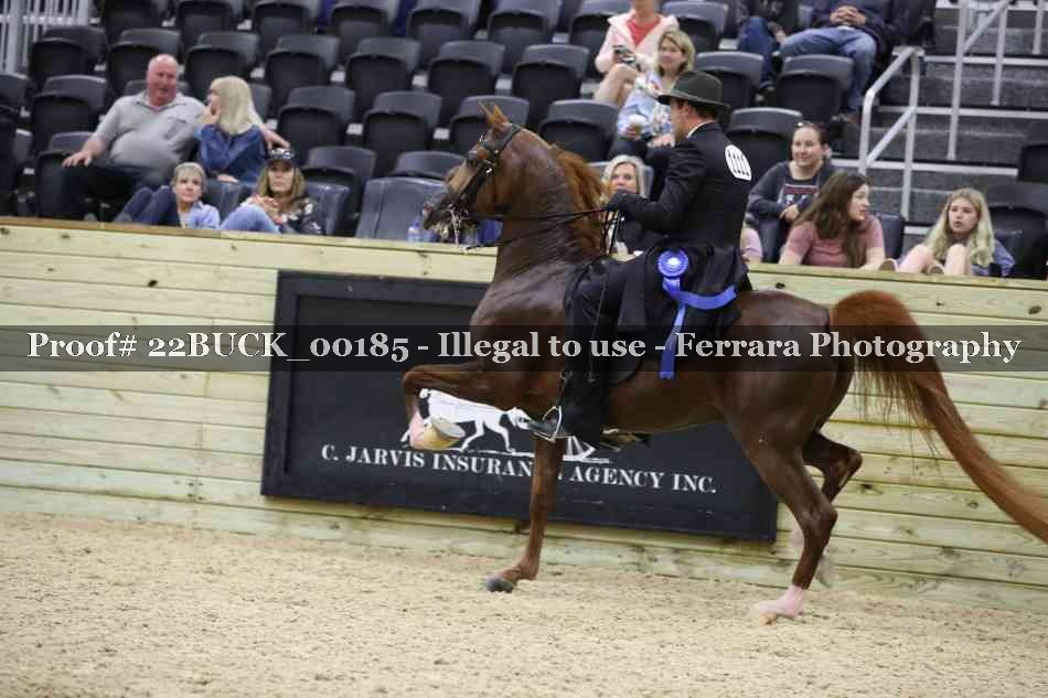 Proof 22BUCK_00185