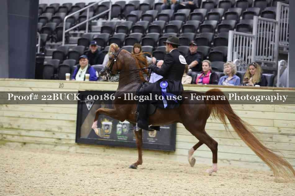 Proof 22BUCK_00186