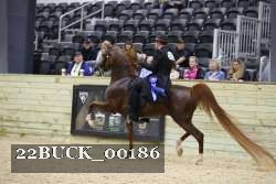 22BUCK_00186 proof