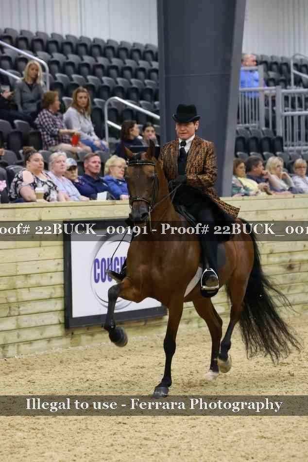 Proof 22BUCK_00191