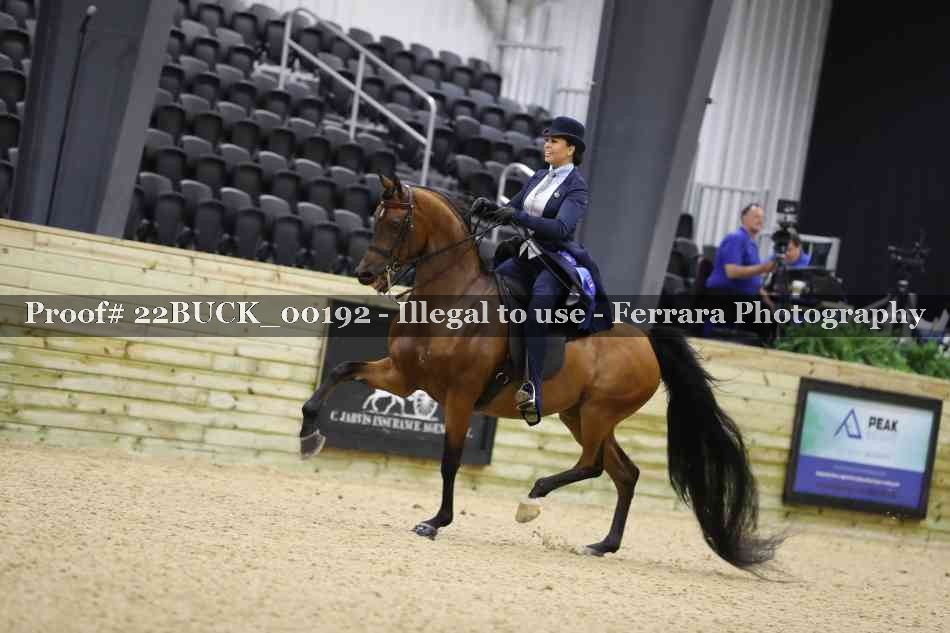 Proof 22BUCK_00192
