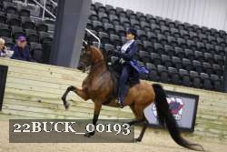 22BUCK_00193 proof