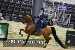 22BUCK_00194 proof