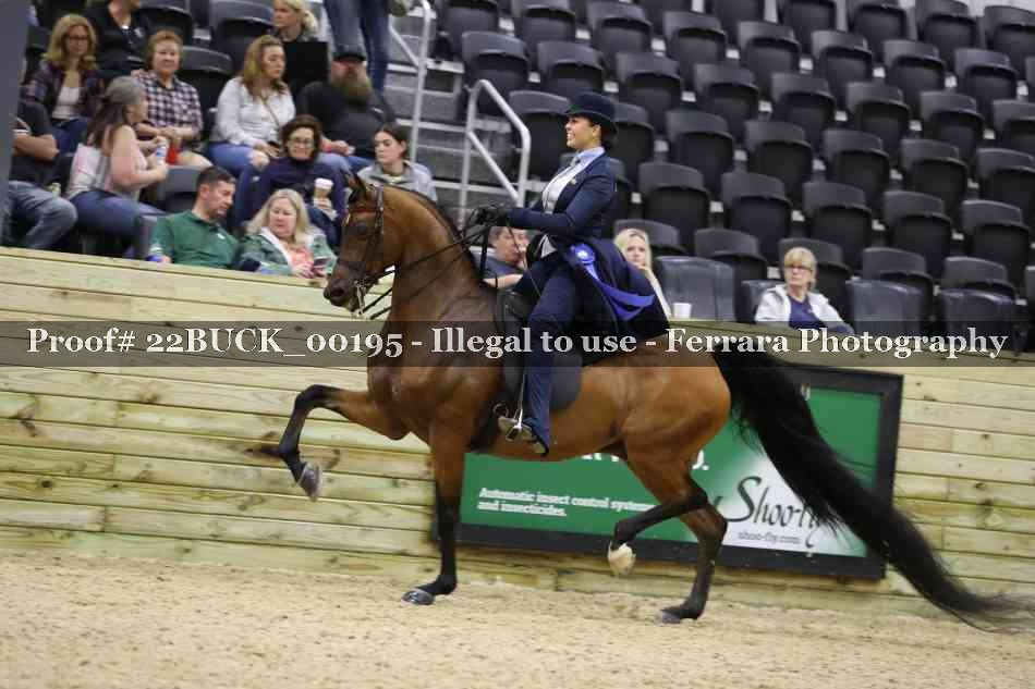 Proof 22BUCK_00195