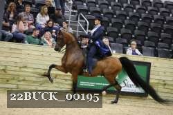 22BUCK_00195 proof