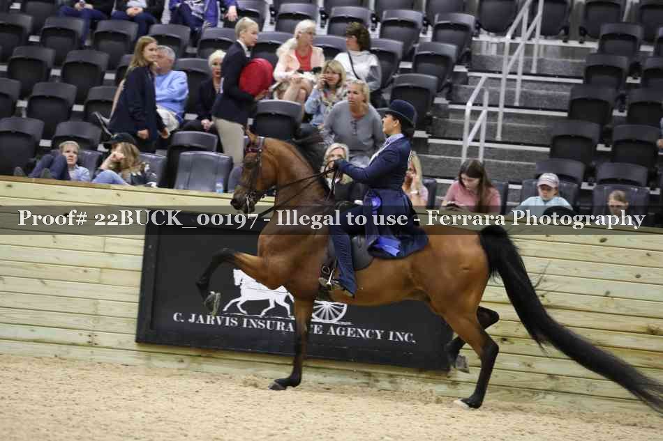 Proof 22BUCK_00197