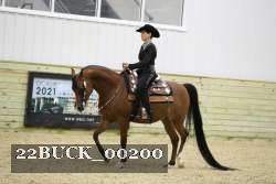 22BUCK_00200 proof
