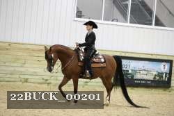 22BUCK_00201 proof
