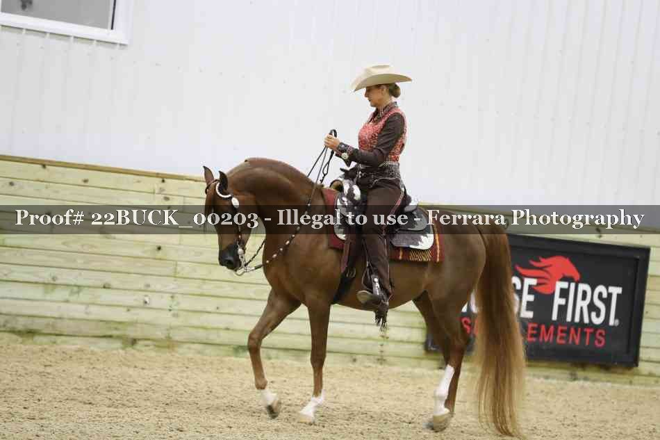 Proof 22BUCK_00203