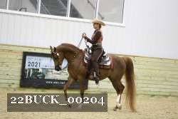 22BUCK_00204 proof